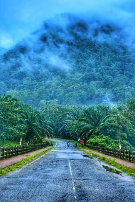 Rain Drops Premium Villas - Athirappilly Exterior foto